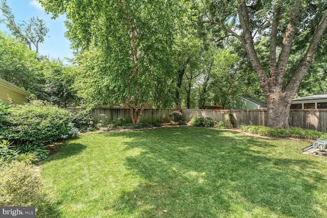 103 E Monroe Ave, Alexandria, VA 22301 - view of fenced backyard