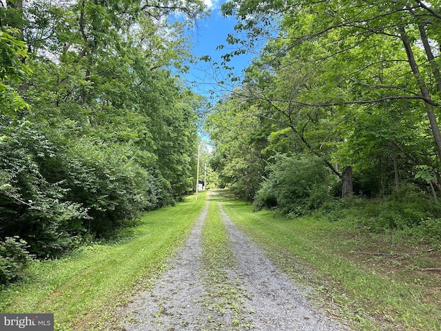 519 Orchard Dale Dr, Clear Brook, VA 22624 - view of road featuring a wooded view