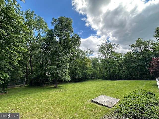 519 Orchard Dale Dr, Clear Brook, VA 22624 - view of grassy yard