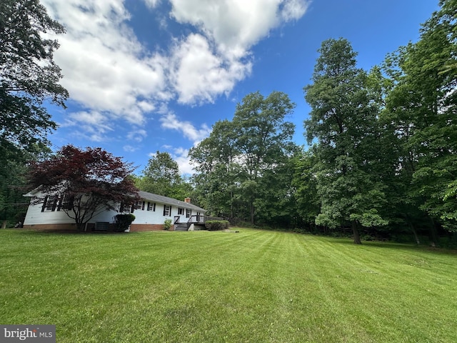 519 Orchard Dale Dr, Clear Brook, VA 22624 - view of green lawn