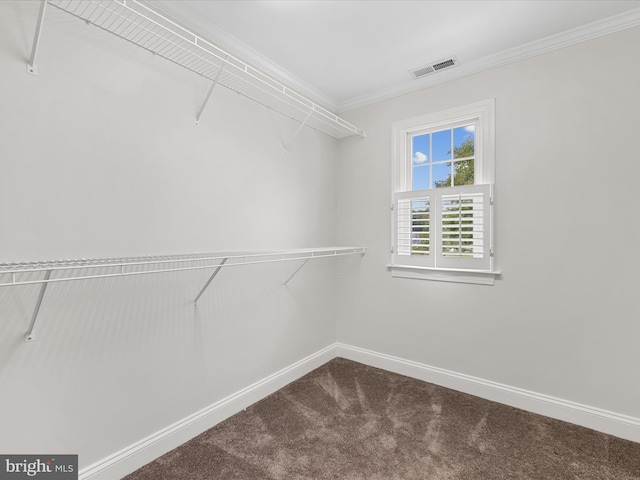 138 Park Side Cir, Ocean Pines, MD 21811 - walk in closet featuring dark colored carpet