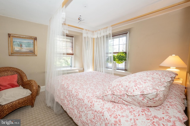 2 Earles Ln, Newtown Square, PA 19073 - view of carpeted bedroom
