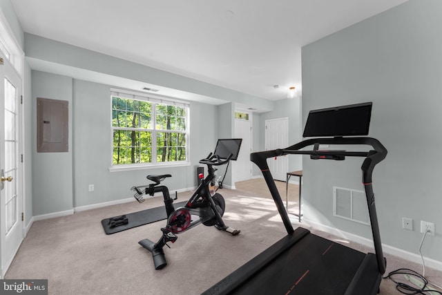43433 Blair Park Sq, Ashburn, VA 20147 - exercise room featuring electric panel, baseboards, and carpet floors