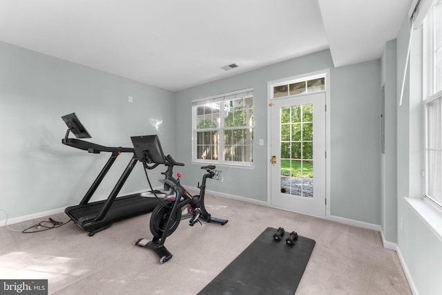 43433 Blair Park Sq, Ashburn, VA 20147 - exercise area with carpet floors and baseboards
