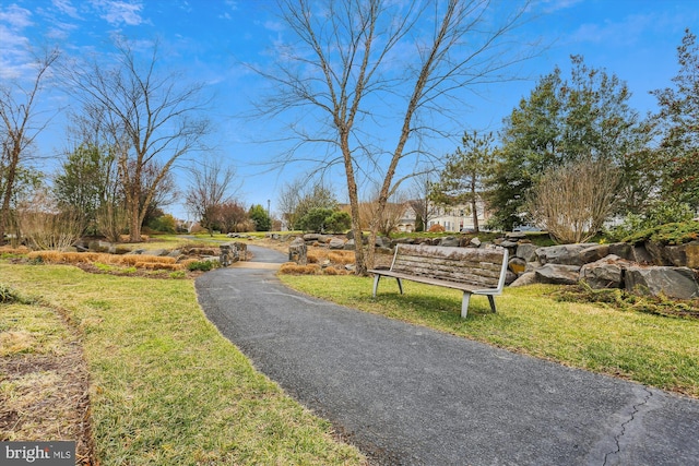 42023 Spring Air Dr, Brambleton, VA 20148 - view of road