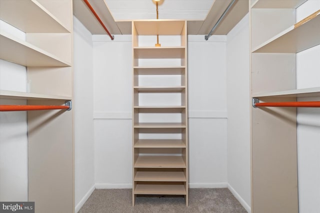 2300 Riddle Ave Unit A4, Wilmington, DE 19806 - walk in closet featuring carpet floors