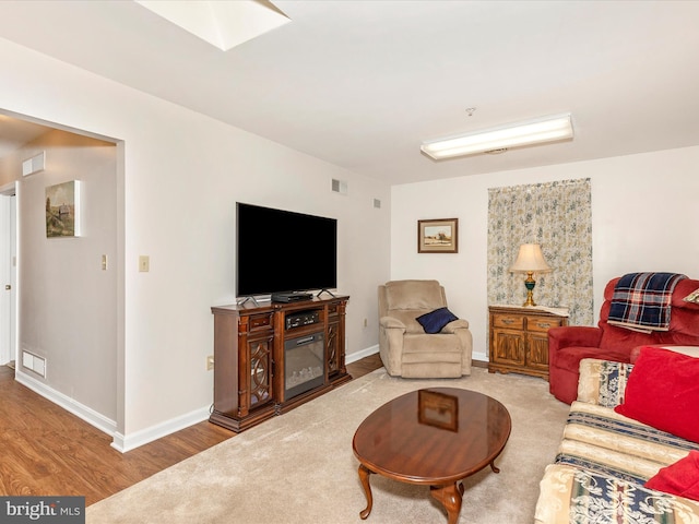 2807 Carlisle Dr Unit 29, New Windsor, MD 21776 - living area featuring wood finished floors, baseboards, and a glass covered fireplace