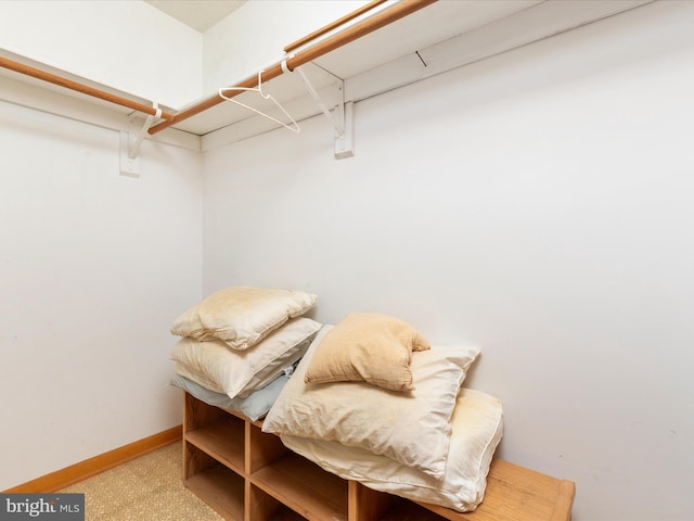 717 W Locust St, Woodstock, VA 22664 - walk in closet featuring carpet floors