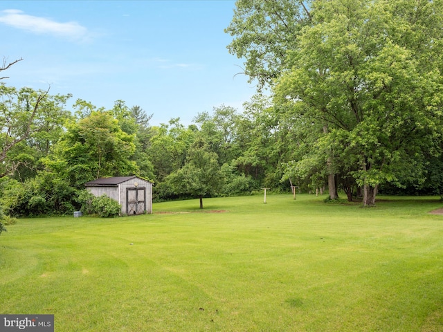 717 W Locust St, Woodstock, VA 22664 - view of green lawn
