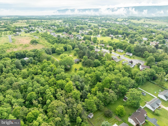 717 W Locust St, Woodstock, VA 22664 - drone / aerial view