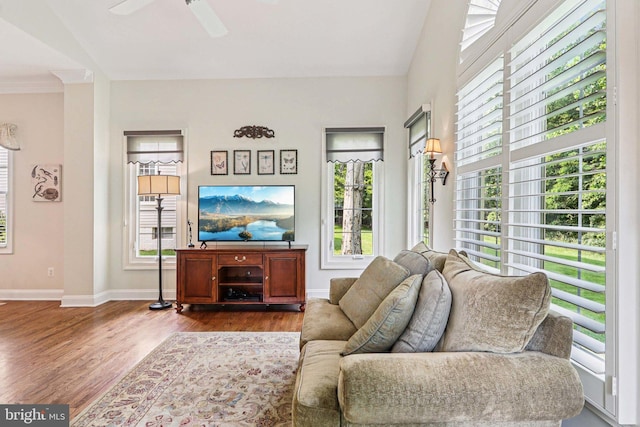 20369 Stillhouse Branch Pl, Sterling, VA 20165 - living room featuring wood finished floors, healthy amount of natural light, baseboards, and ceiling fan