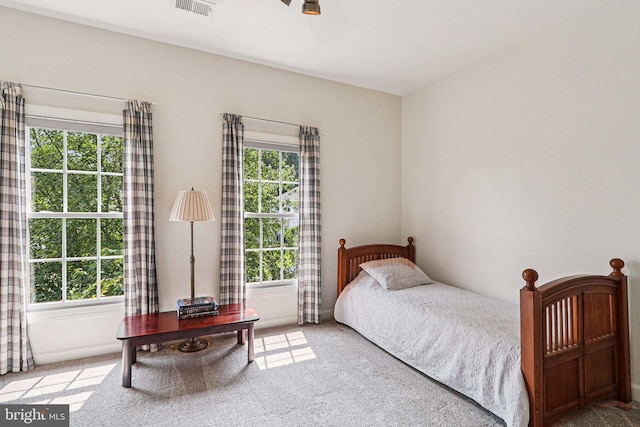 20369 Stillhouse Branch Pl, Sterling, VA 20165 - carpeted bedroom featuring multiple windows and baseboards