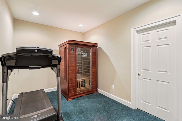 20369 Stillhouse Branch Pl, Sterling, VA 20165 - workout area with carpet flooring, baseboards, and recessed lighting