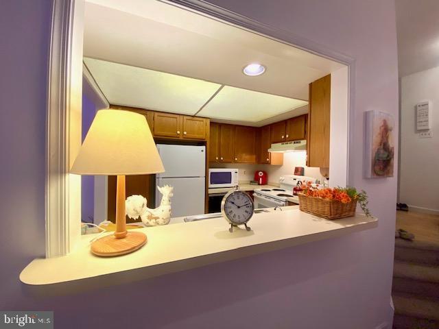 3605 Haley Ct, Wilmington, DE 19808 - kitchen with white appliances, under cabinet range hood, light countertops, a peninsula, and brown cabinets