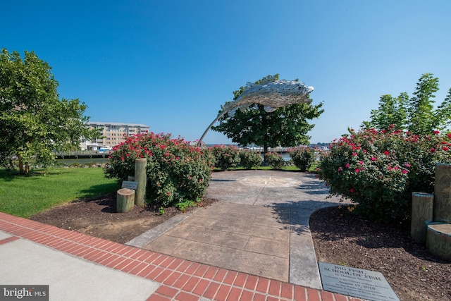 714 Alliance St, Havre De Grace, MD 21078 - view of property's community featuring a patio and a yard