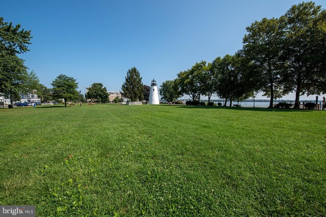 714 Alliance St, Havre De Grace, MD 21078 - view of green lawn