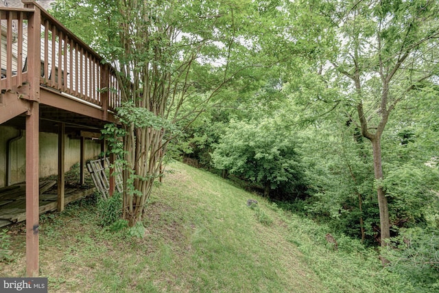 208 E Bradford Ct, Middletown, DE 19709 - view of yard with a wooden deck