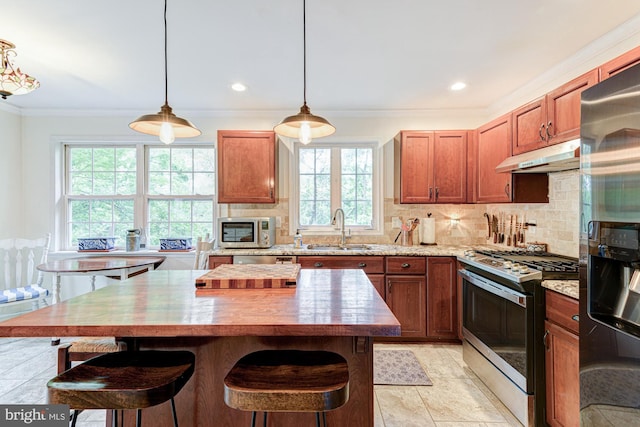 208 E Bradford Ct, Middletown, DE 19709 - kitchen with appliances with stainless steel finishes, a sink, plenty of natural light, under cabinet range hood, and crown molding
