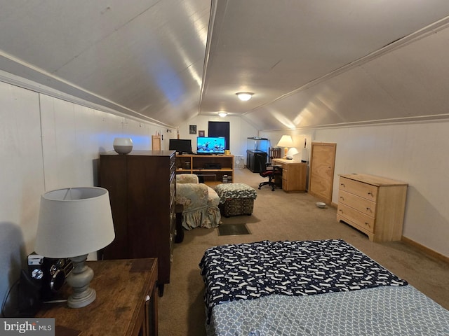 408 Dover St, Salisbury, MD 21804 - carpeted bedroom featuring lofted ceiling