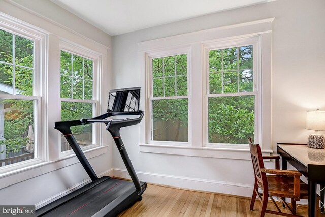 815 Aspen St NW, Washington, DC 20012 - workout area featuring wood finished floors and baseboards