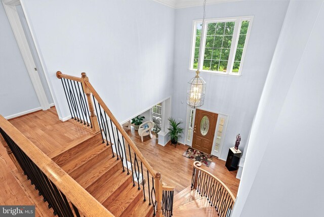 7633 Great Dover St, Gainesville, VA 20155 - stairway featuring a chandelier, wood finished floors, crown molding, and a towering ceiling