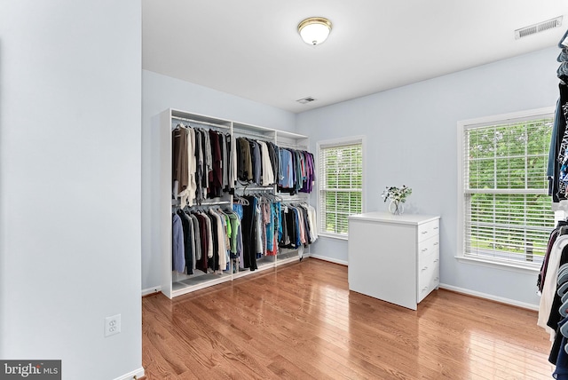 7633 Great Dover St, Gainesville, VA 20155 - spacious closet featuring light wood-style flooring