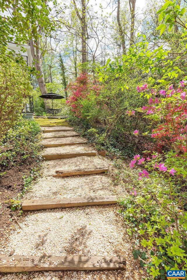 1426 Dairy Rd, Charlottesville, VA 22903