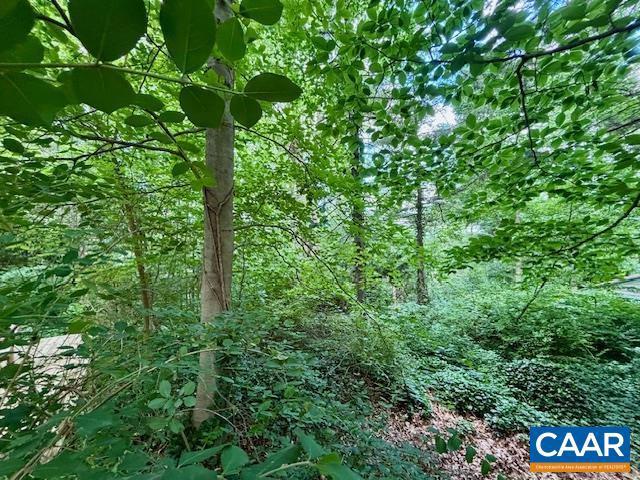 1426 Dairy Rd, Charlottesville, VA 22903