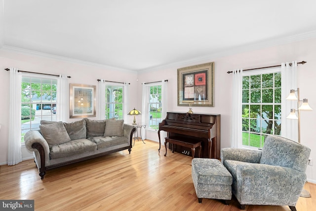 20783 Laplume Pl, Ashburn, VA 20147 - living room featuring light wood finished floors and crown molding