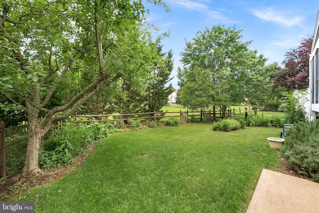 20783 Laplume Pl, Ashburn, VA 20147 - view of yard