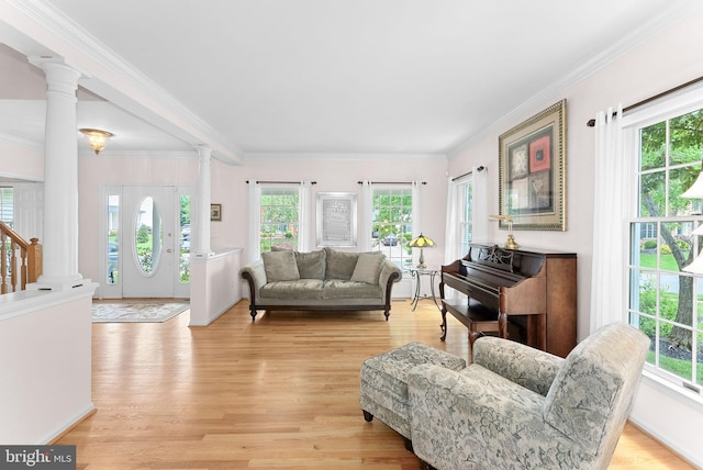 20783 Laplume Pl, Ashburn, VA 20147 - living area with decorative columns, crown molding, and light wood-type flooring