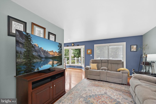 14428 William Carr Ln, Centreville, VA 20120 - living area with light wood-style flooring