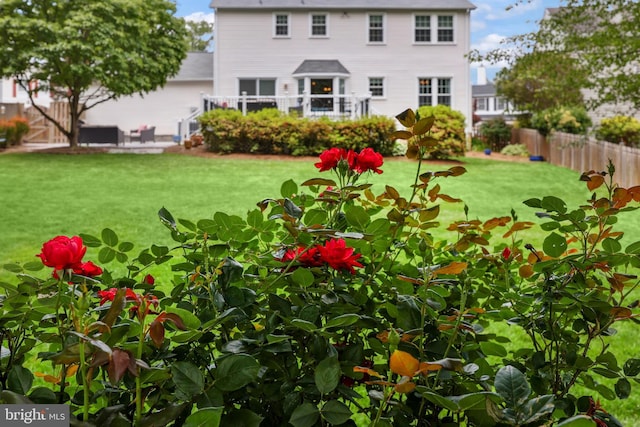 14428 William Carr Ln, Centreville, VA 20120 - view of yard