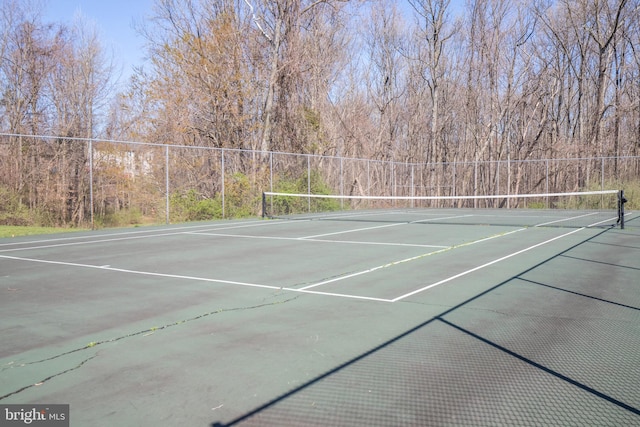 14428 William Carr Ln, Centreville, VA 20120 - view of tennis court