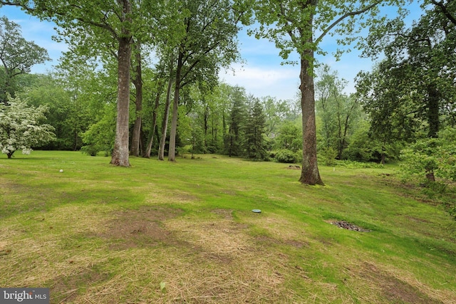215 S Spring Mill Rd, Villanova, PA 19085 - view of green lawn
