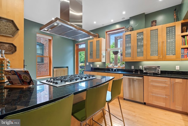 135 13th St NE, Washington, DC 20002 - kitchen featuring appliances with stainless steel finishes, island exhaust hood, light wood-type flooring, a sink, and glass insert cabinets