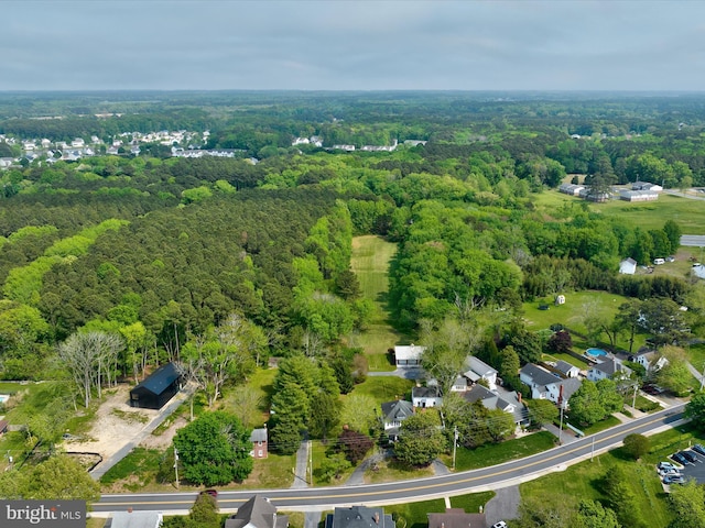417 S Main St, Berlin, MD 21811 - aerial view of property's location with a forest