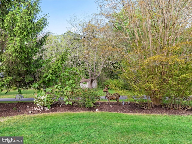 417 S Main St, Berlin, MD 21811 - view of green lawn