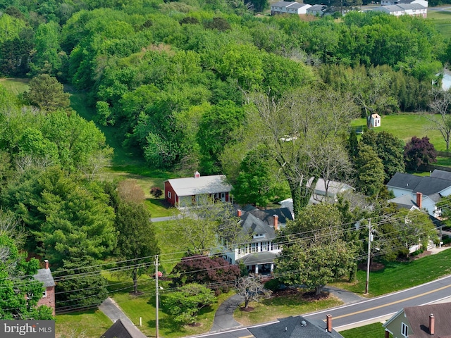 417 S Main St, Berlin, MD 21811 - aerial view of a forest
