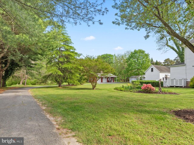 417 S Main St, Berlin, MD 21811 - view of grassy yard