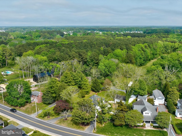 417 S Main St, Berlin, MD 21811 - aerial view of a forest