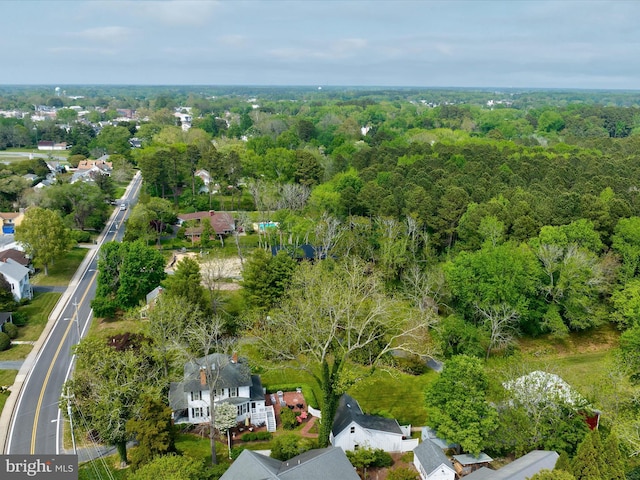 417 S Main St, Berlin, MD 21811 - aerial view of residential area featuring a heavily wooded area