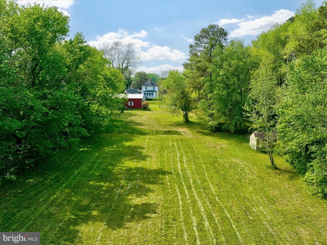 417 S Main St, Berlin, MD 21811 - view of grassy yard