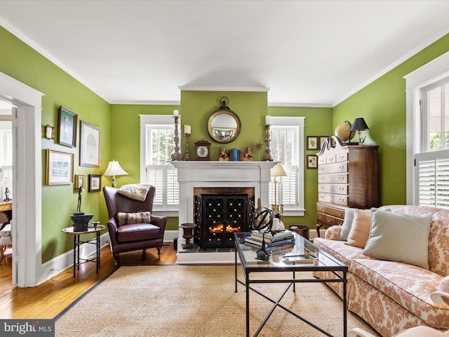 417 S Main St, Berlin, MD 21811 - living area with healthy amount of natural light, a lit fireplace, wood finished floors, ornamental molding, and baseboards