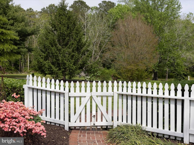417 S Main St, Berlin, MD 21811 - view of gate