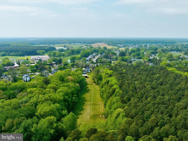 417 S Main St, Berlin, MD 21811 - bird's eye view of a heavily wooded area