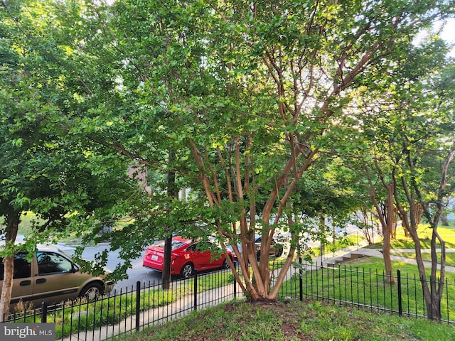 210 Webster St NE, Washington, DC 20011 - view of yard