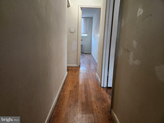 210 Webster St NE, Washington, DC 20011 - corridor featuring hardwood / wood-style flooring and baseboards