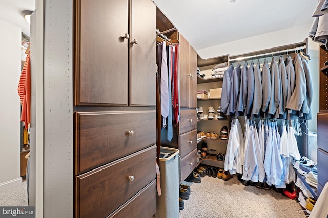 276 Cherry Ln, Doylestown, PA 18901 - spacious closet featuring carpet