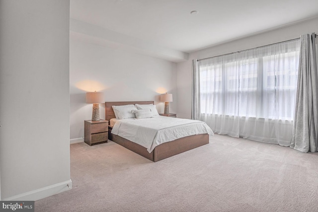 22287 Cornerstone Crossing Ter, Ashburn, VA 20148 - bedroom featuring baseboards and carpet